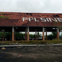 PPI